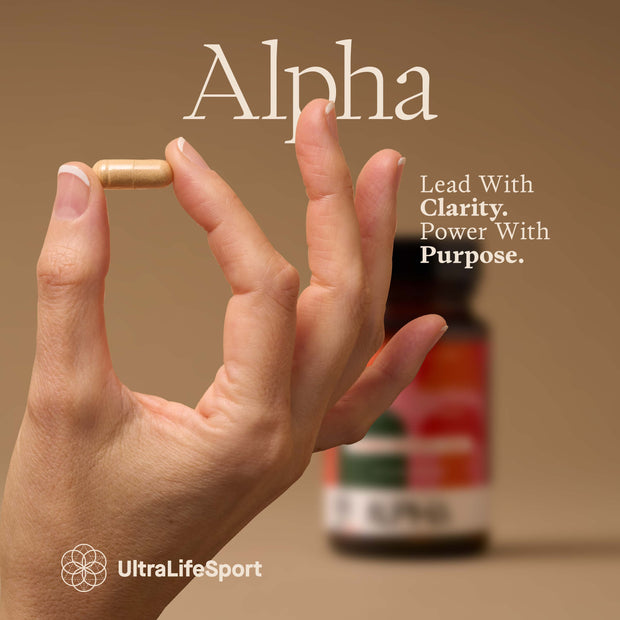 Banner image for: <h2>SUPPLEMENTS</h2>