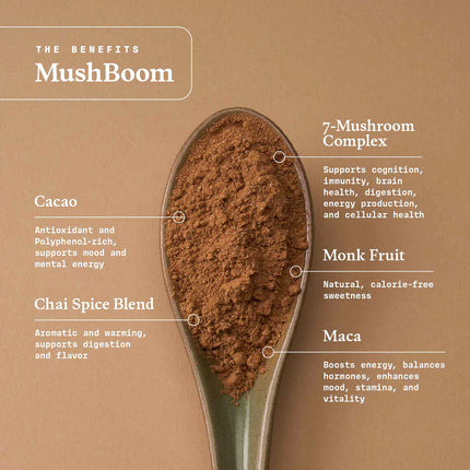 MushBoom | Cacao Chai & Mushroom Chai Blend