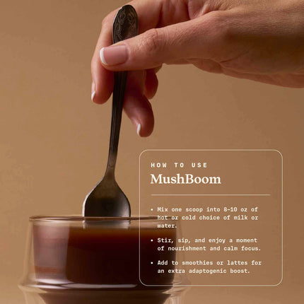 MushBoom | Cacao Chai & Mushroom Chai Blend