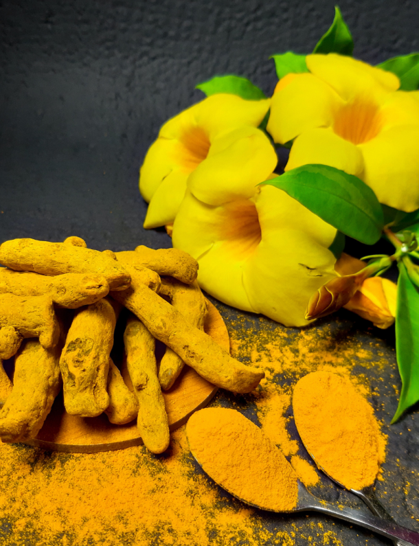 Turmeric Article Feature Image