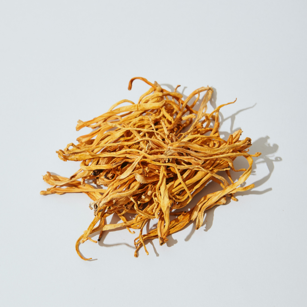 Cordyceps Article Image 1